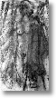 020109_08.jpg