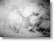 020109_11.jpg
