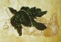 20020814-5.jpg
