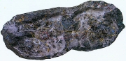 20021023-1.jpg
