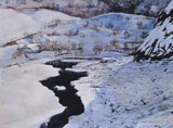 lks01.jpg